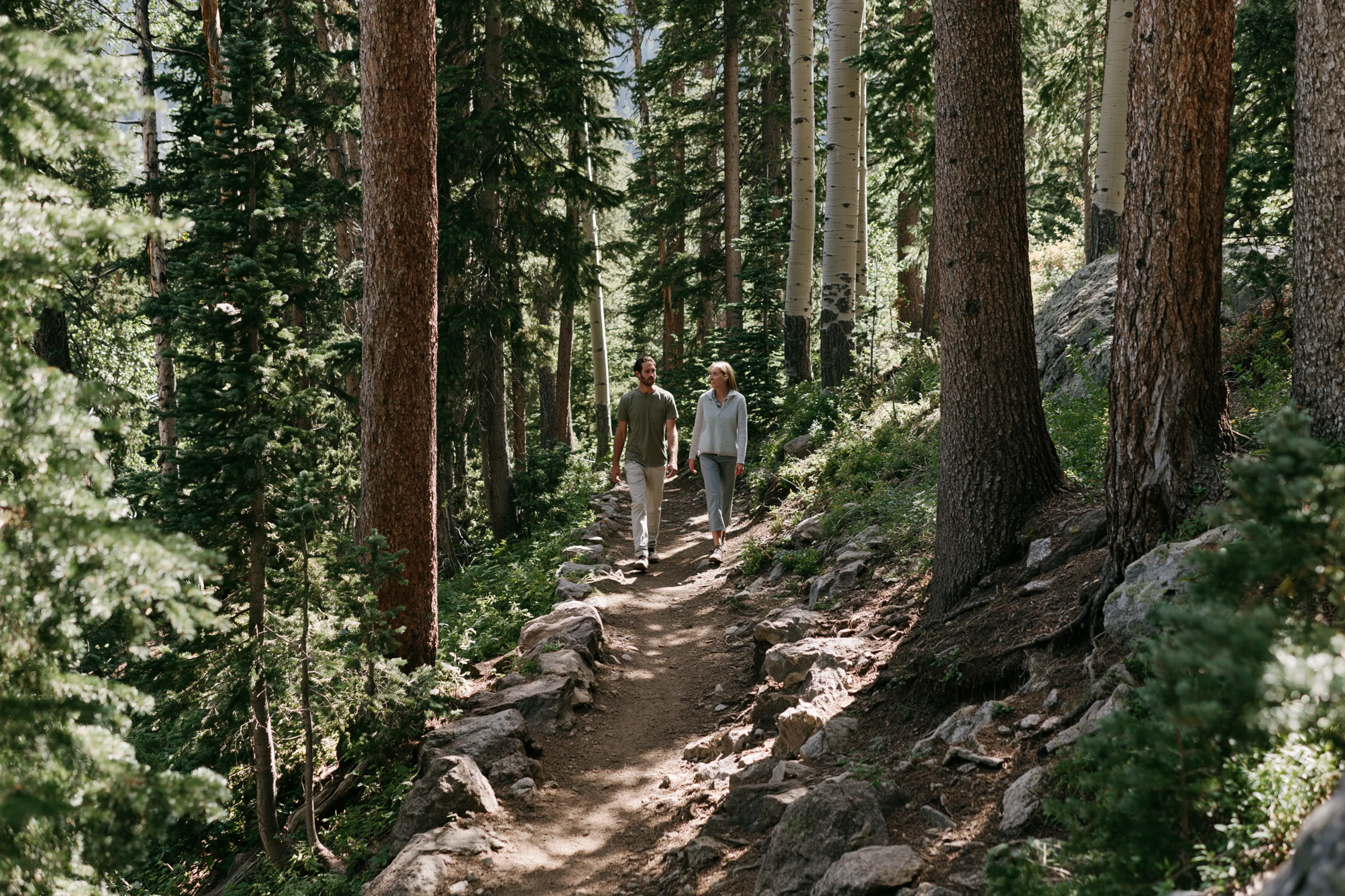 Two people walking a forest trail among pines and aspens
